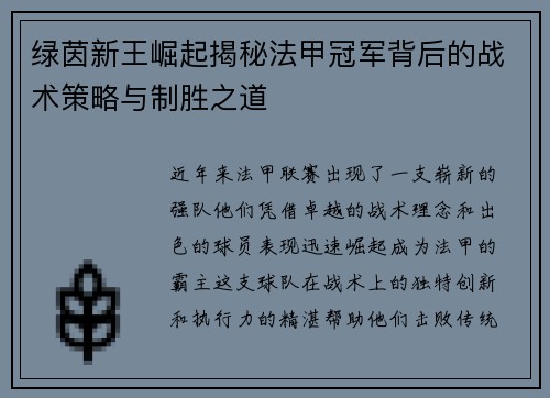绿茵新王崛起揭秘法甲冠军背后的战术策略与制胜之道